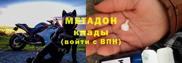 шишки Белоозёрский