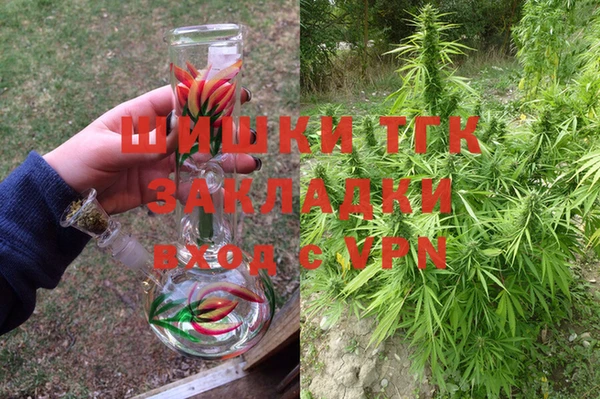 ешки Белокуриха