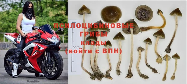 ешки Белокуриха