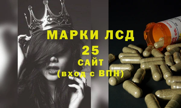 шишки Белоозёрский