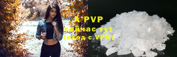 шишки Белоозёрский