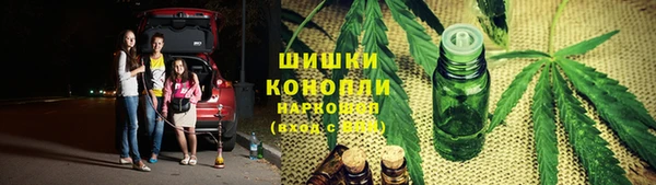 шишки Белоозёрский